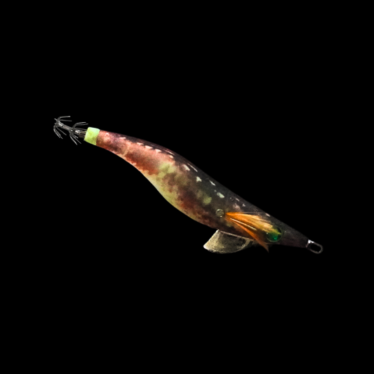 FL2024-01
